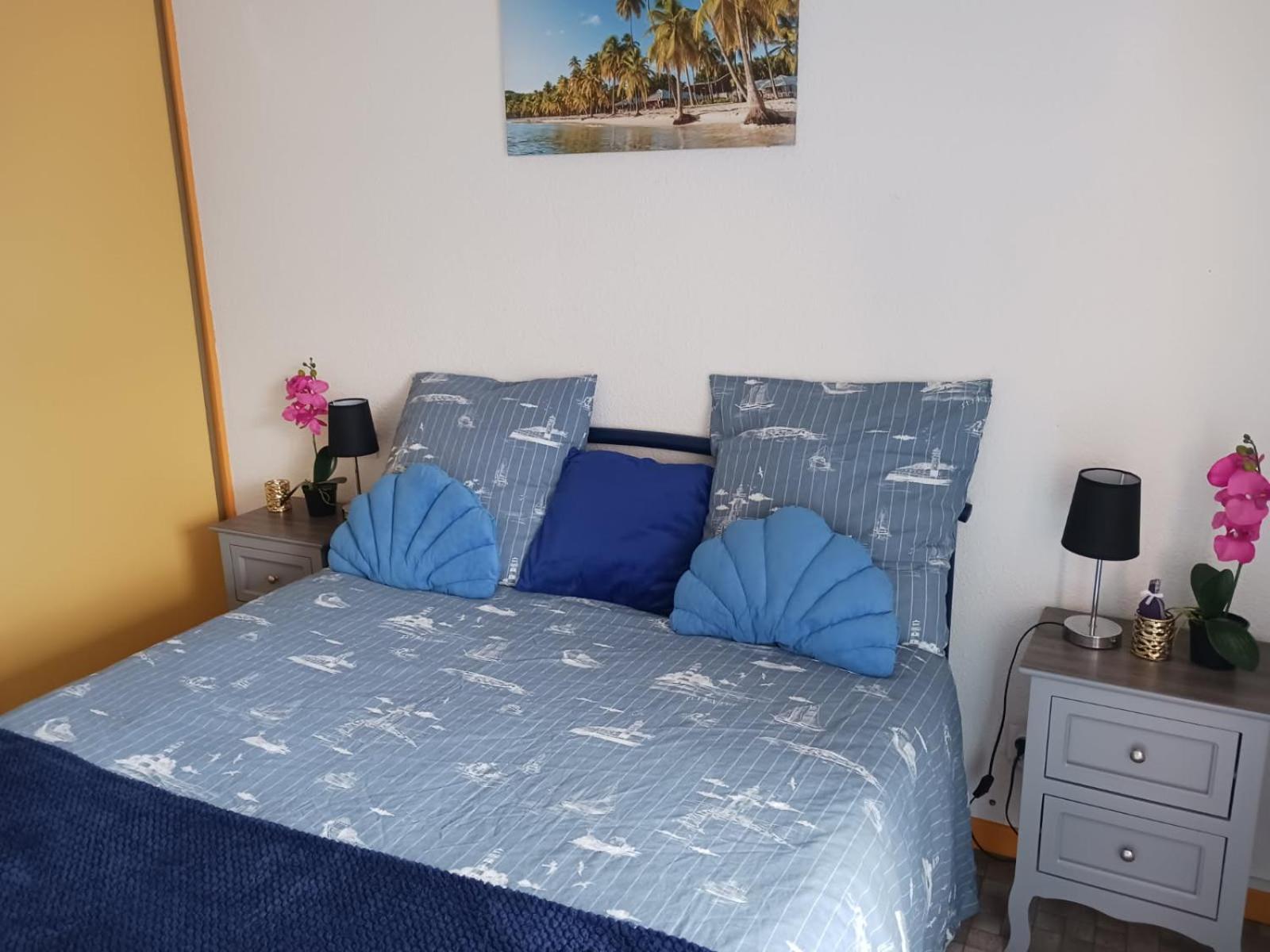 Appartement T2 Vue Mer Et Port,2 Balcons, Parking Prive Canet-en-Roussillon Εξωτερικό φωτογραφία